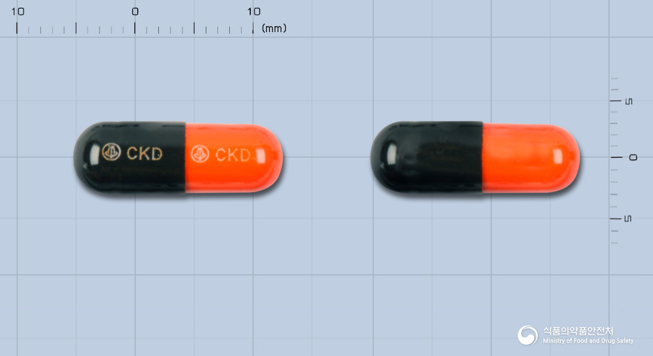 리포덱스캅셀(리팜피신)(수출명: 종근당리팜피신캅셀150mg) 낱알 사진