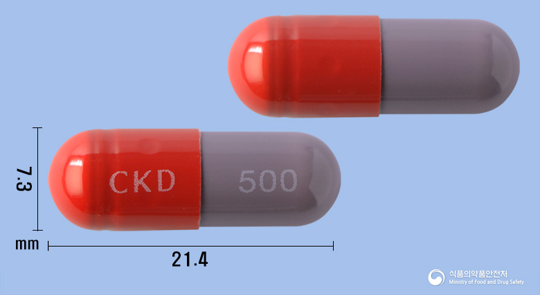 앰씰린캅셀(500밀리그람)(암피실린수화물)및앰씬캅셀500MG(수출용) 낱알 사진
