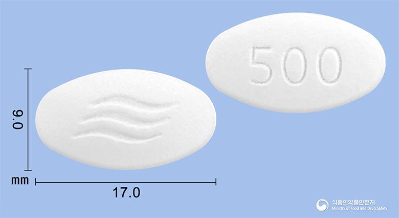애니목스정500mg(아목시실린·피복실설박탐) 낱알 사진