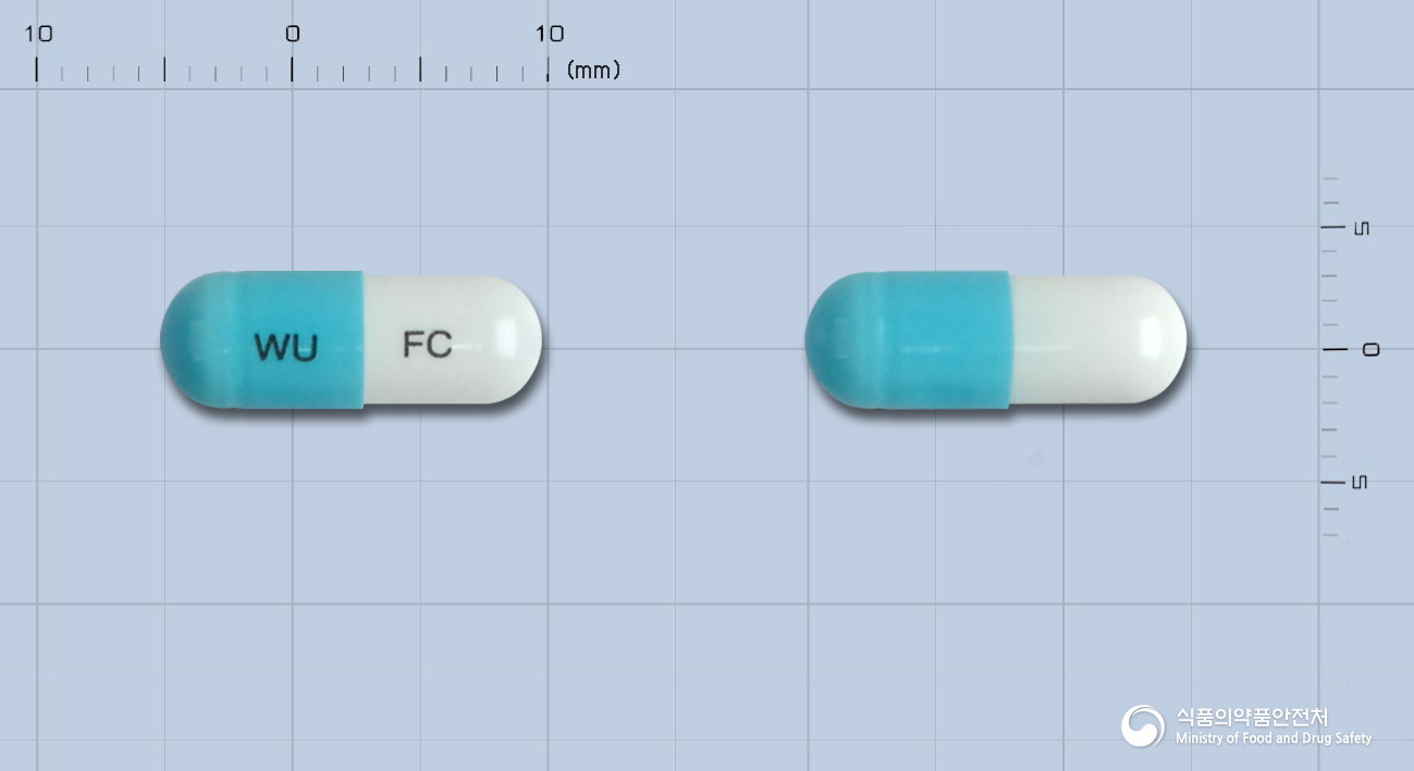 후로졸캡슐50mg(플루코나졸) 낱알 사진