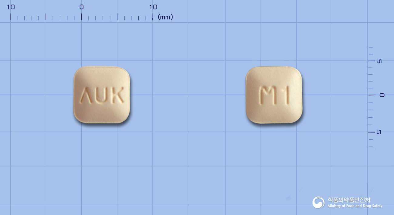 몬테스코정10mg(몬테루카스트나트륨) 낱알 사진