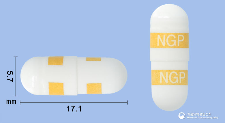 쎄레젠캡슐200mg(세레콕시브) 낱알 사진