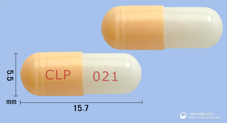 탐솔캡슐(탐스로신염산염) 낱알 사진