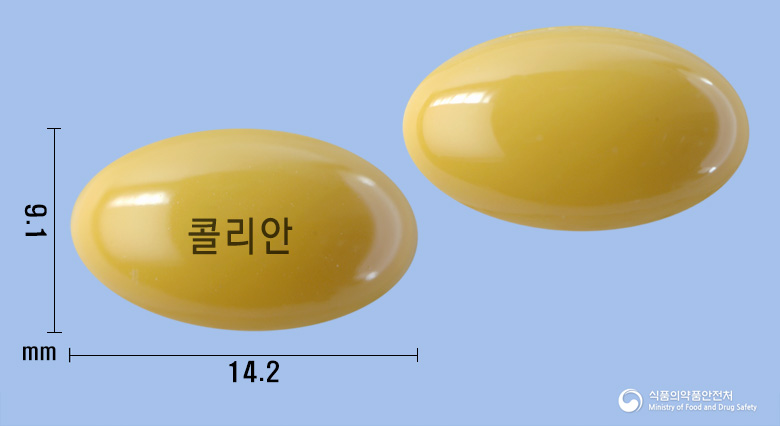 콜리안연질캡슐(콜린알포세레이트) 낱알 사진