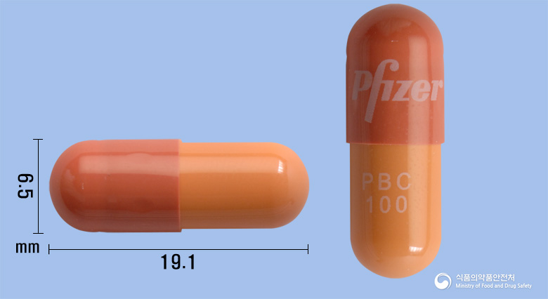 입랜스캡슐100mg(팔보시클립) 낱알 사진